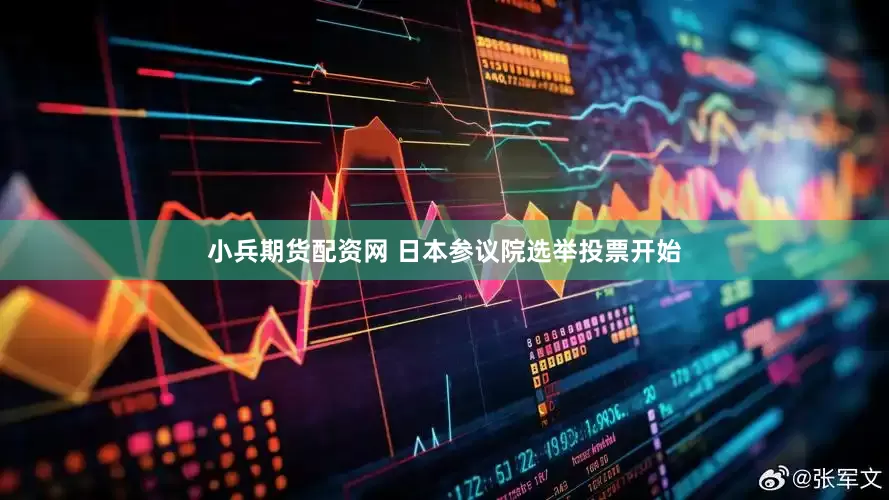 小兵期货配资网 日本参议院选举投票开始